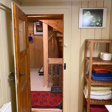 Casa Pistur * Дизентис